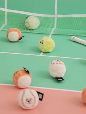 Biteme Mini Sports Ball